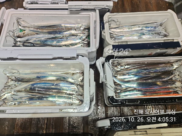 KakaoTalk_20261026_053740517_14.jpg