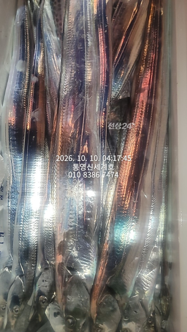 1791611603782.jpg
