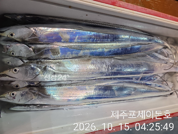 1000049650.jpg