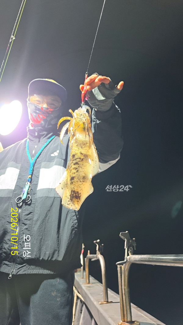 42917.jpg