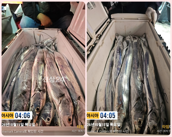 KakaoTalk_20261015_062027860-tile.jpg