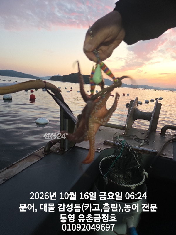 1000062660.jpg