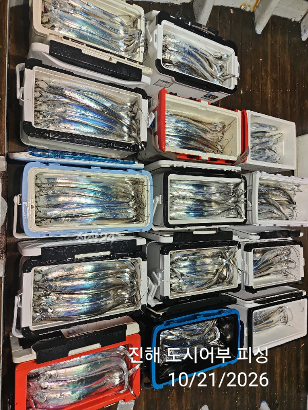 KakaoTalk_20261021_040550071_13.jpg