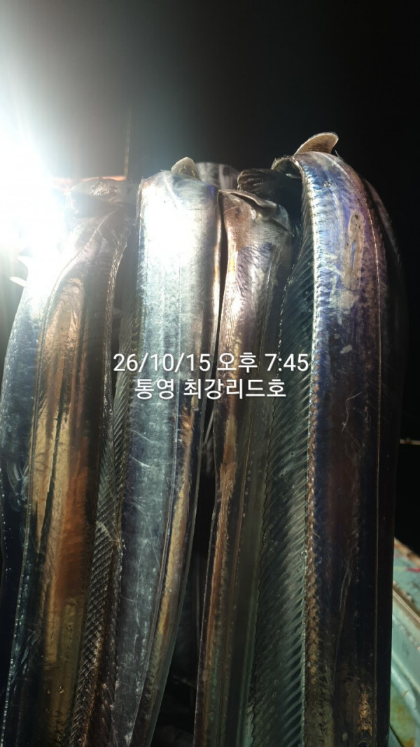 KakaoTalk_20261016_114521200_03.jpg