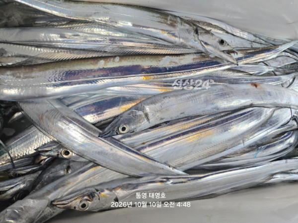 KakaoTalk_20261010_051911490_12.jpg