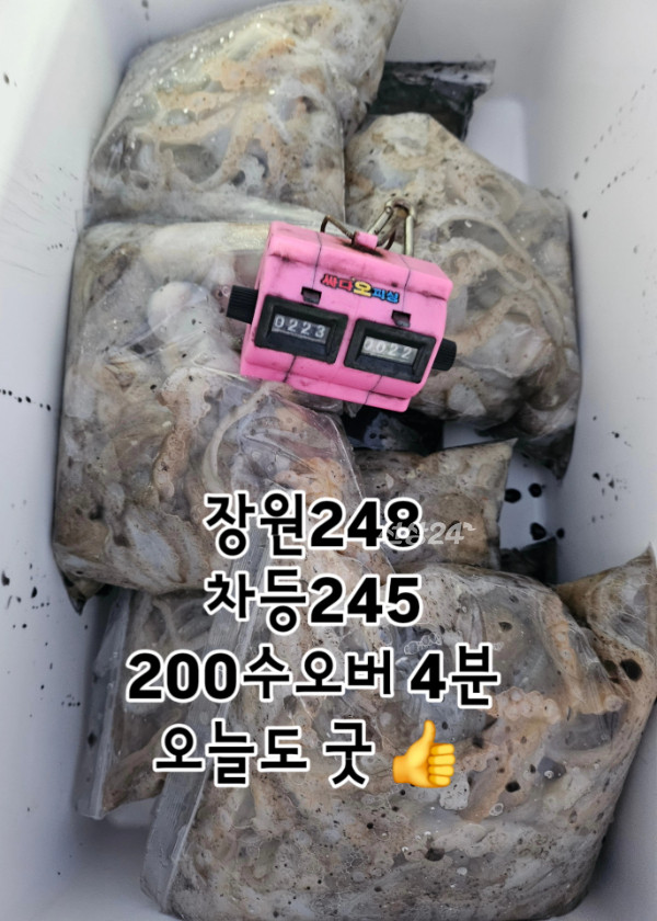 1000075502.jpg