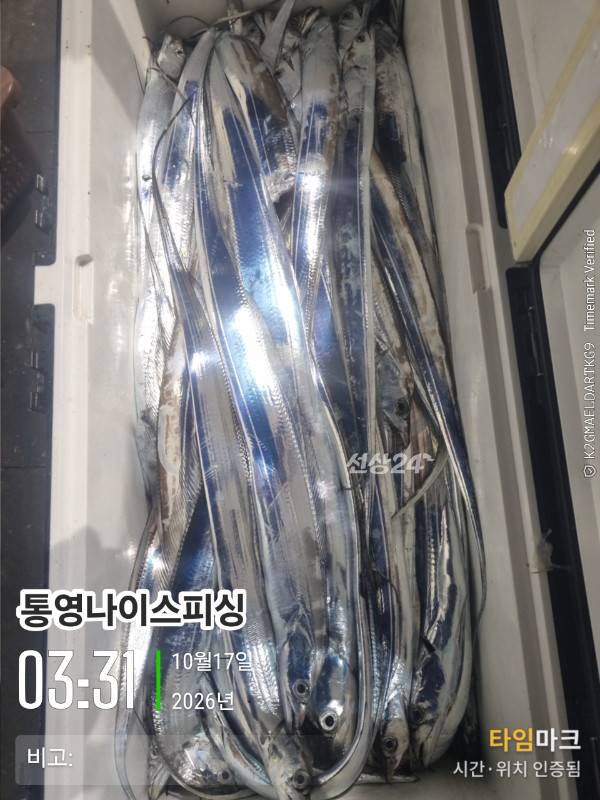 20261017_033148_글꼴-통영나이스피싱.jpg
