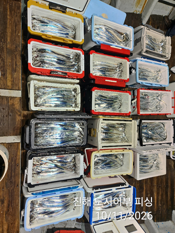 KakaoTalk_20261011_050252101_08.jpg