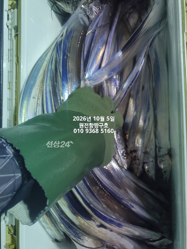 KakaoTalk_20261005_051425255_05.jpg
