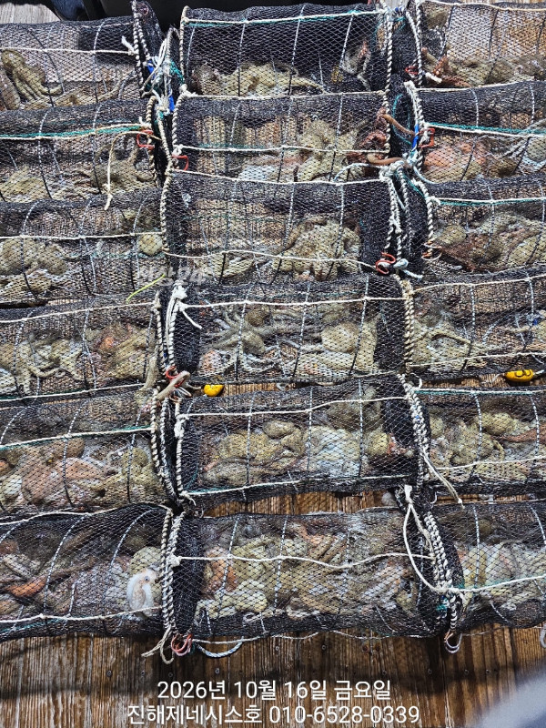 10.15(2).jpg