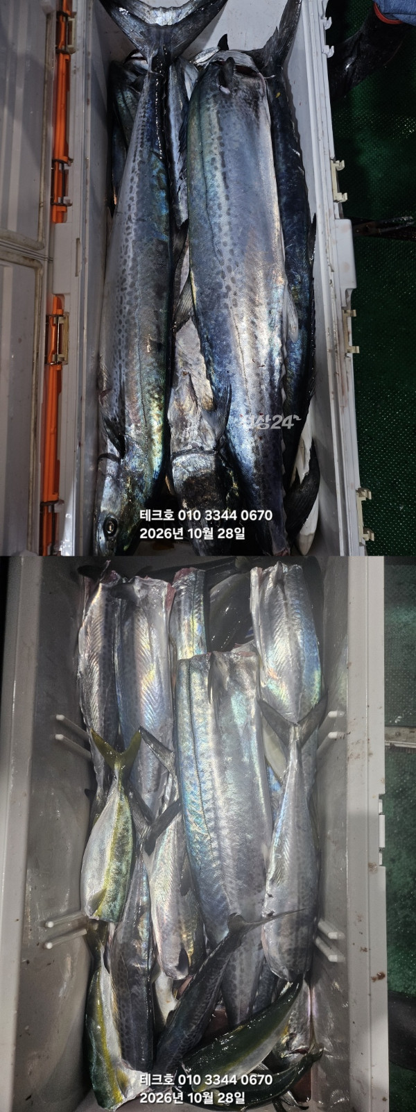 KakaoTalk_20261028_175948331_02-vert.jpg