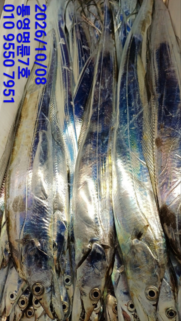 KakaoTalk_20261008_055317393_17.jpg