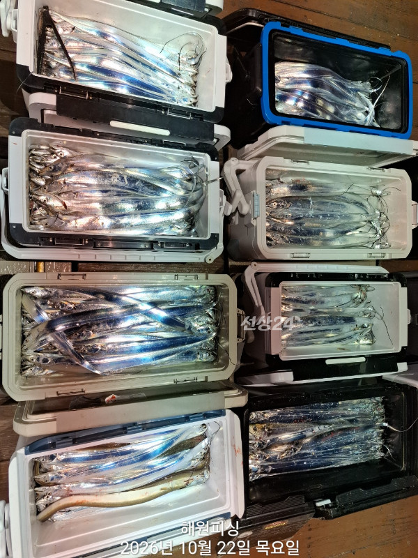 1000038842.jpg