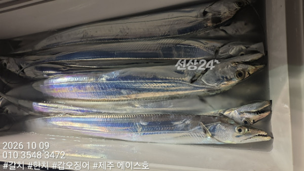 KakaoTalk_20261009_121551345_13.jpg