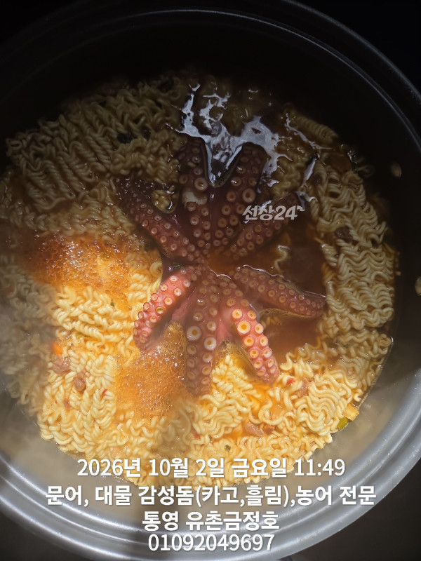 1000061516.jpg