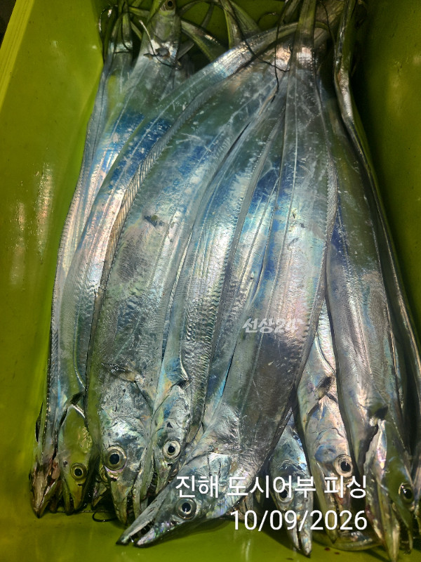 KakaoTalk_20261009_063157918_15.jpg