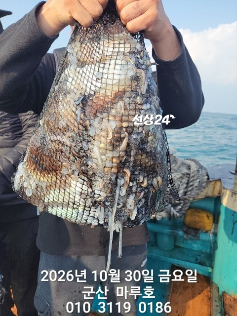 KakaoTalk_20261030_163940516.jpg