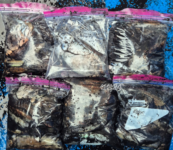 1000073640.jpg
