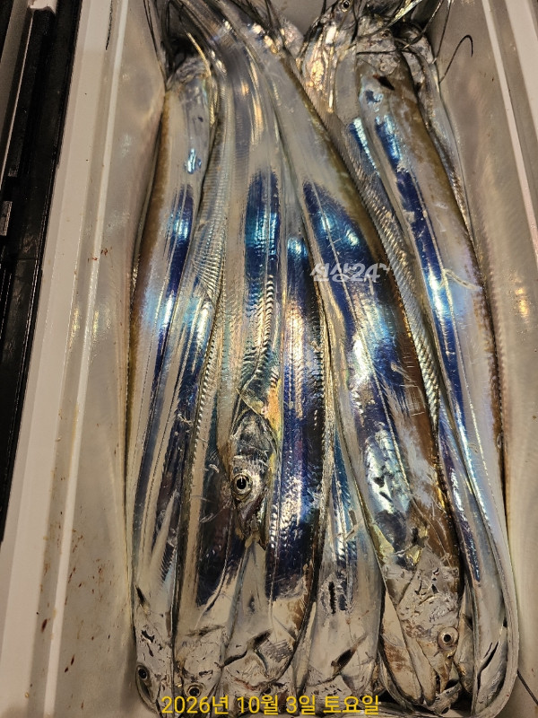 FDF11736-E286-4722-B042-8E8022E57B49.jpeg