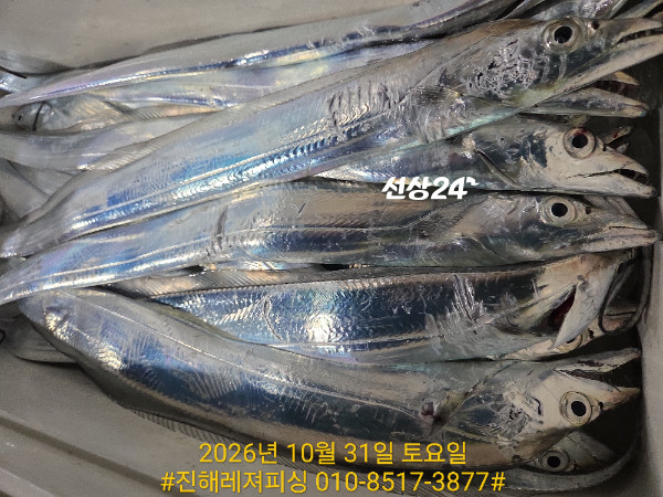 1000108590.jpg