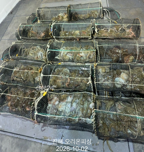 KakaoTalk_20261002_021659095_11.jpg