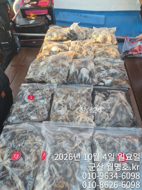 18110.jpg