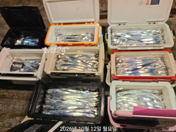 D022148B-58A6-41AC-85B0-0A5BEA02D187.jpeg