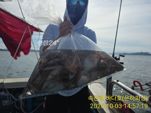 IMG_20261003_145719.jpg