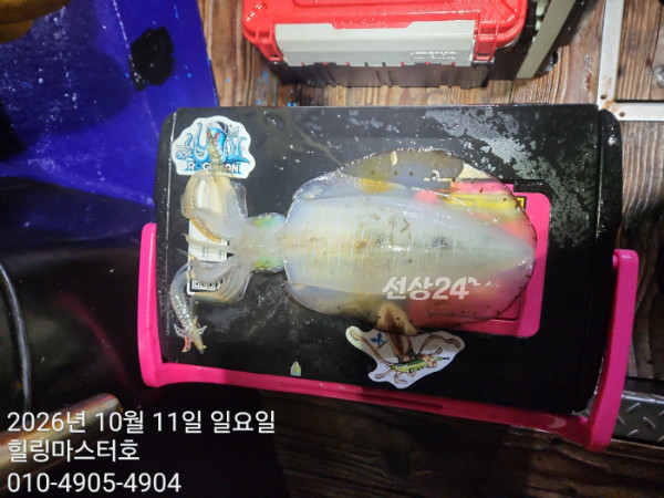 KakaoTalk_20261012_034208501_13.jpg