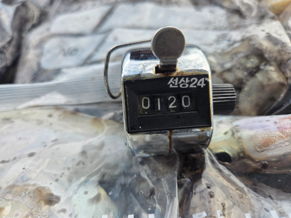 24523.jpg
