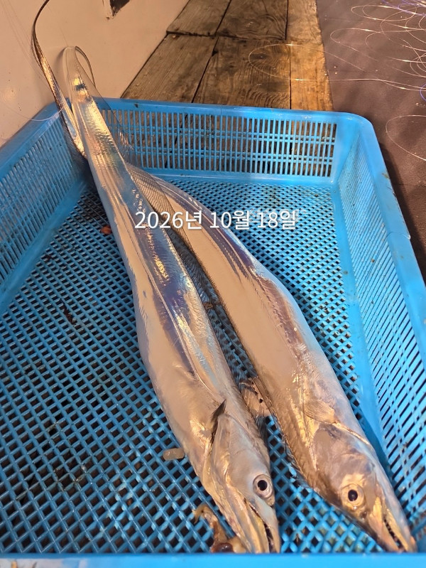 C710AE78-E8CE-440B-9897-502C8BAFFEFA.jpeg