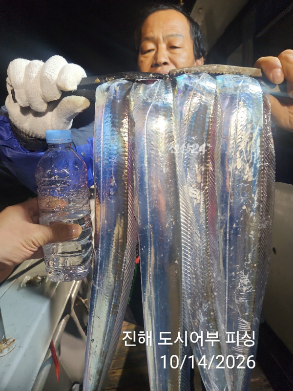 KakaoTalk_20261014_043827989_10.jpg