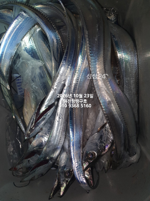 KakaoTalk_20261023_034636163.jpg