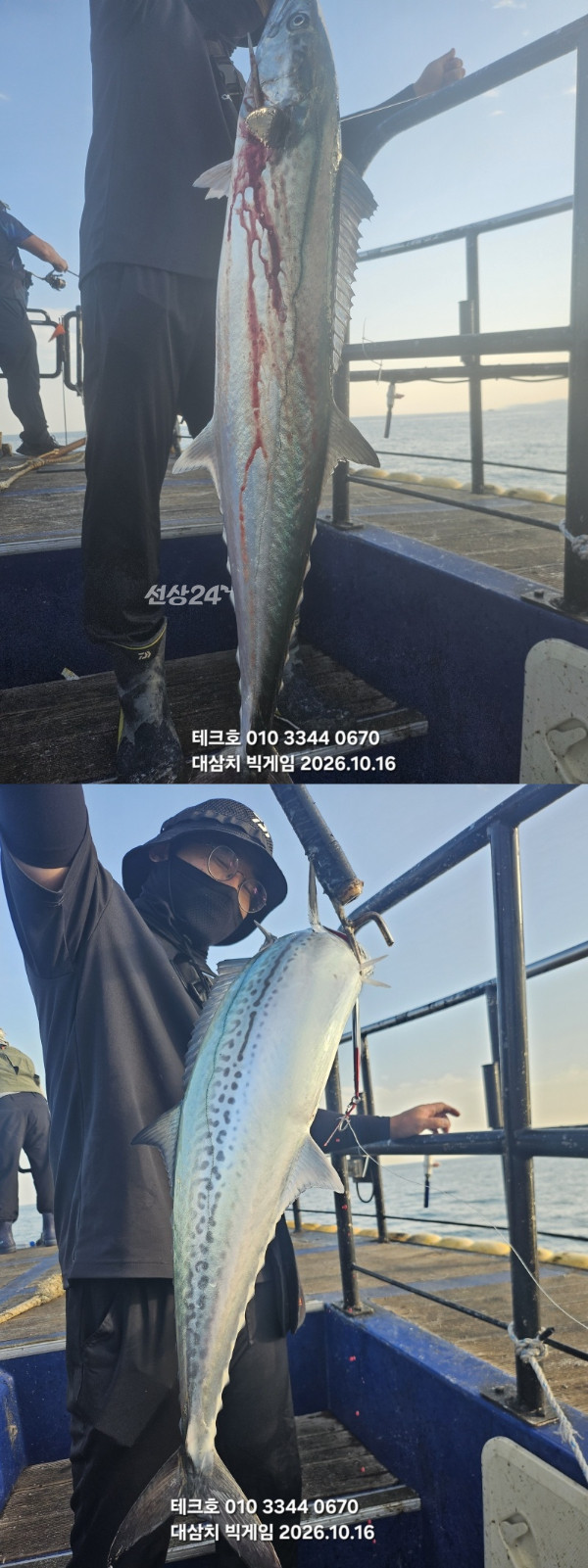 KakaoTalk_20261016_174326988_15-vert.jpg
