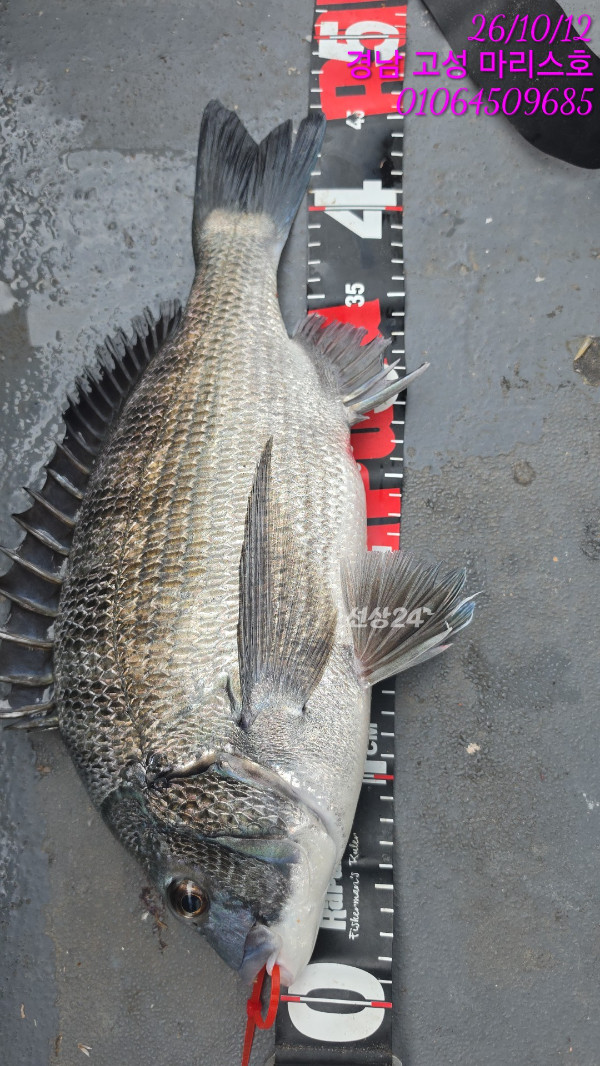 TimePhoto_20261012_111034.jpg