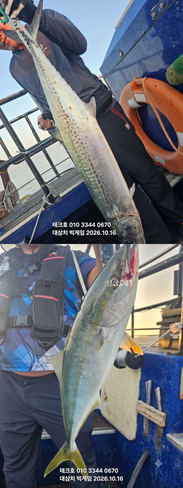 KakaoTalk_20261016_174326988_22-vert.jpg
