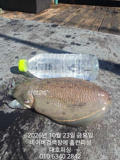 1000020459.jpg