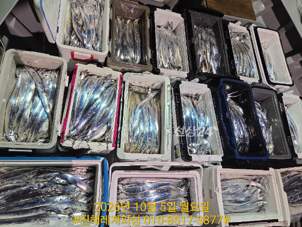 1000106684.jpg