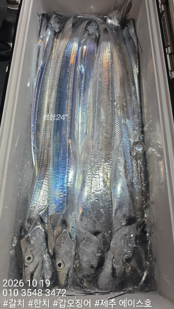 KakaoTalk_20261019_132436958_07.jpg