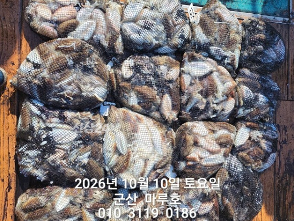 1000015053.jpg