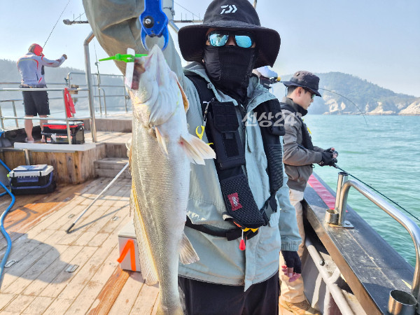 8933.jpg