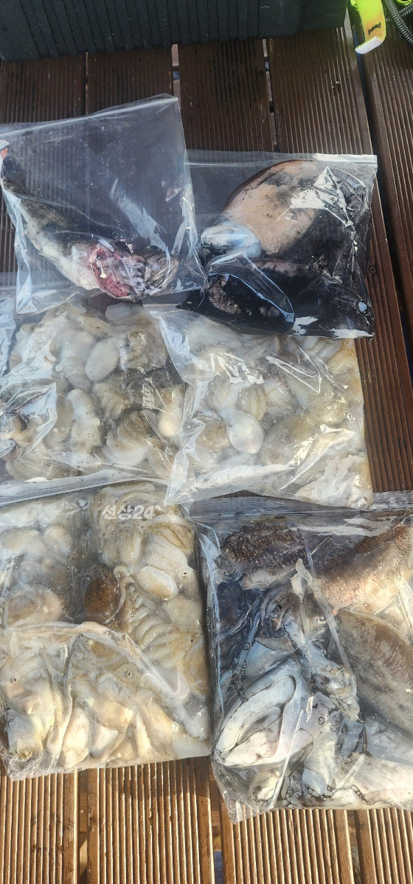 KakaoTalk_20261017_165506484.jpg
