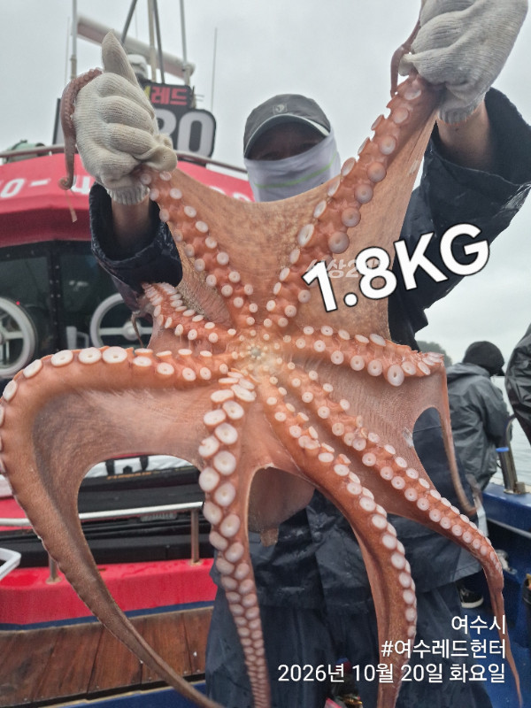 35028.jpg