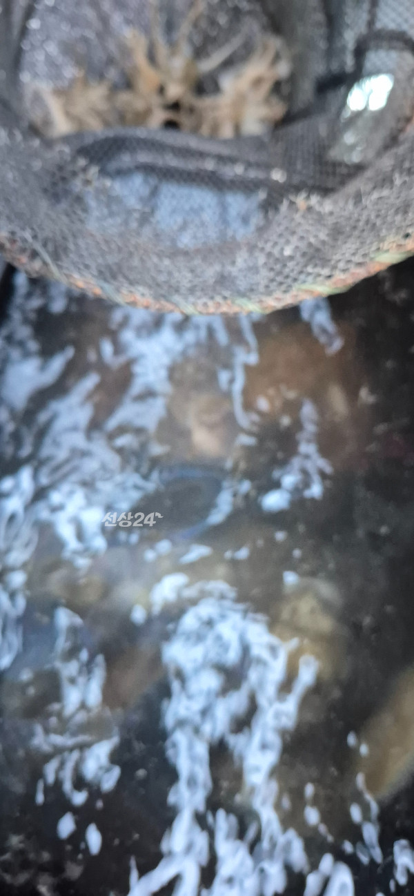1790932034539.jpg