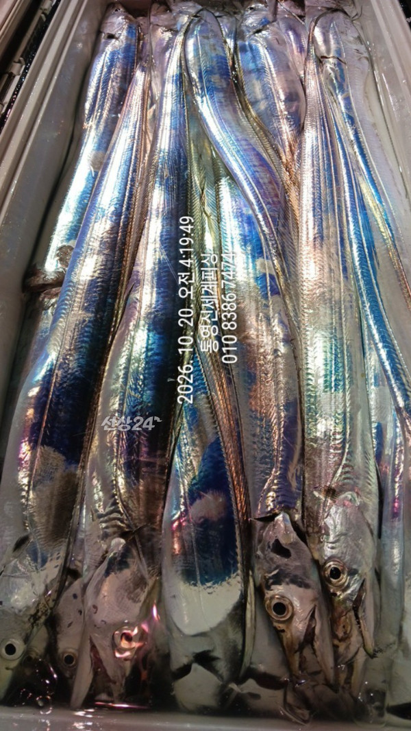 1792445643389.jpg