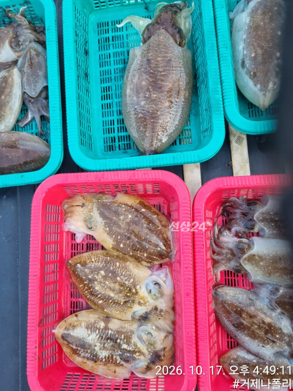 KakaoTalk_20261017_202338791_01.jpg