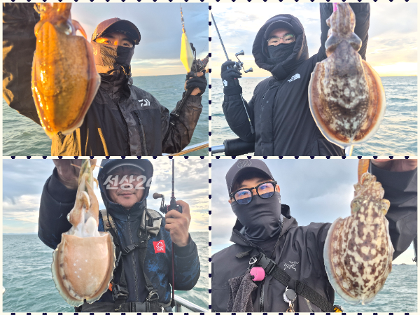 collage3.png