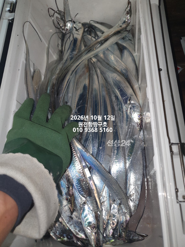 KakaoTalk_20261012_134836822_03.jpg