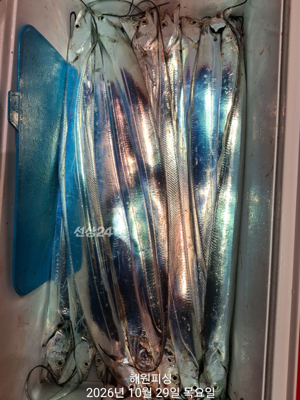 1000038937.jpg