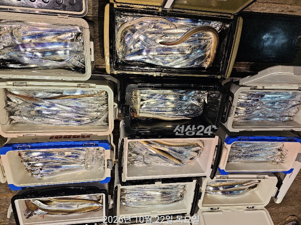 3A4E82C4-18DF-431E-9FA0-111DA60D08AD.jpeg